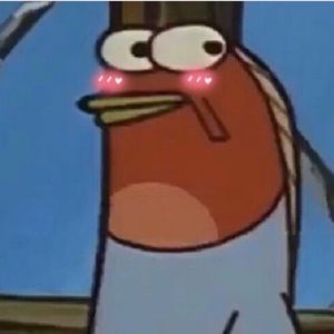 Meet your Posher, Heidi